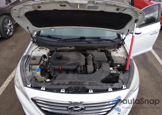 5NPE34AF4FH204531: 44369853