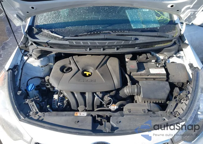 KNAFX4A84E5122403: 44371189