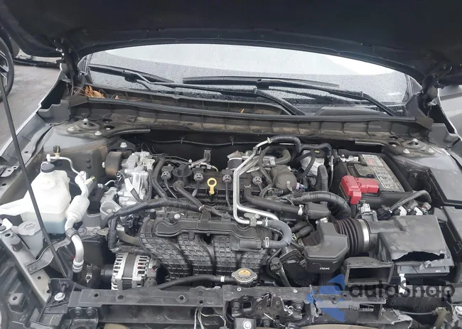 1N4BL4CV4RN430229: 44371423