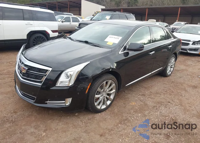 2G61M5S39G9138488: 44371431