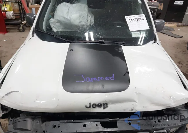 ZACNJDC13MPM29032: 44372064