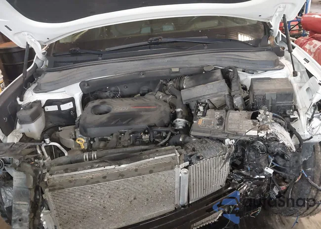 5NMS5CAA6LH260894: 44371609