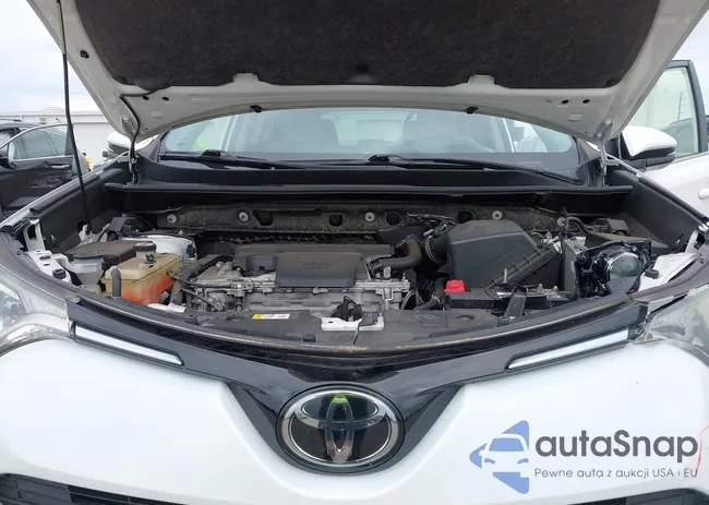 JTMWFREV1JD122135: 44371868