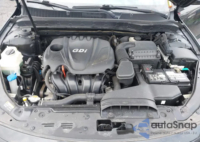 KNAGM4A76F5658341: 44371877