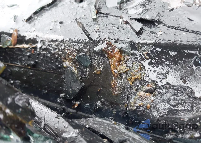 1GCGSBEA1K1305803: 44371912