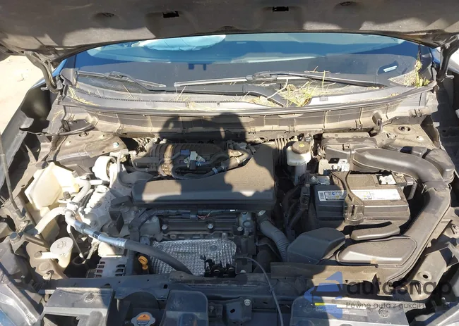 5N1AT2MT7LC733074: 44373115