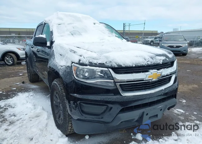 1GCGTCEN9L1190049: 44373190