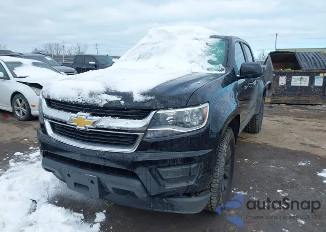 1GCGTCEN9L1190049: 44373190