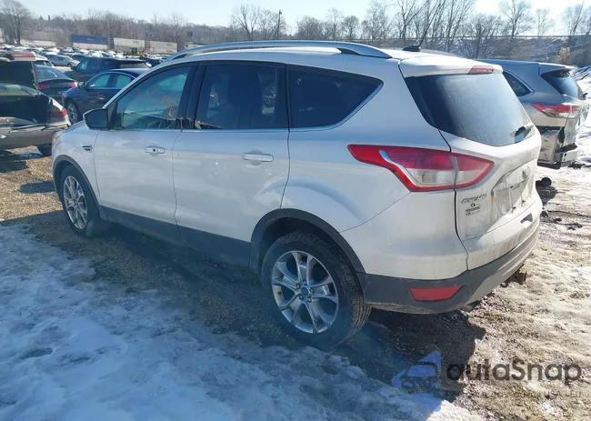 1FMCU9J90EUD31689: 44373460