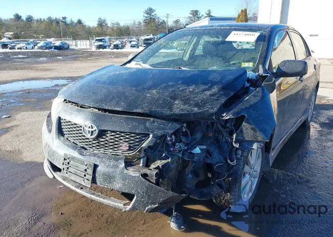 2T1BU4EE0AC469654: 44374010