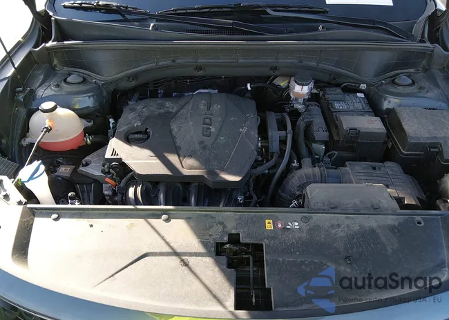 5XYRG4LC1NG155853: 44374095