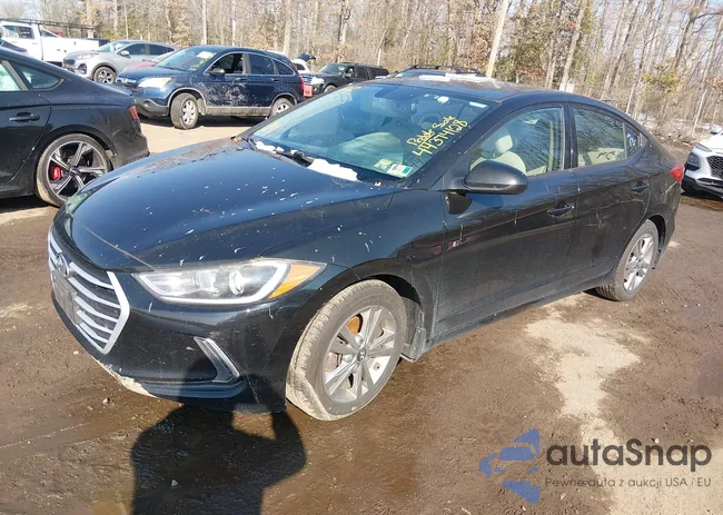 KMHD84LF0JU571978: 44374128