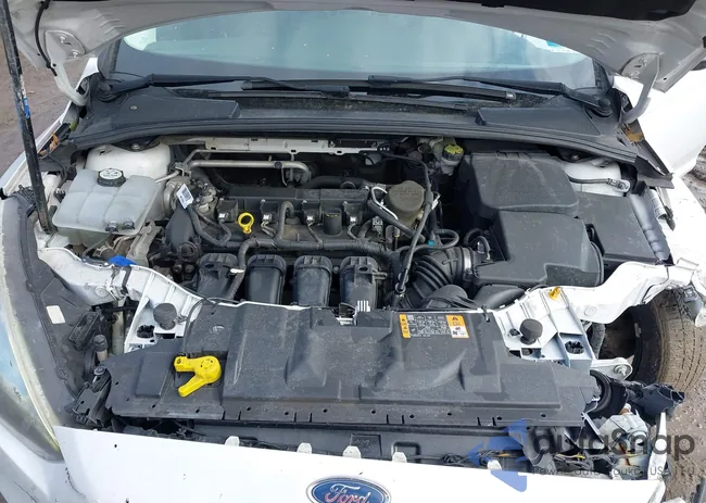 1FADP3F23FL377961: 44374380