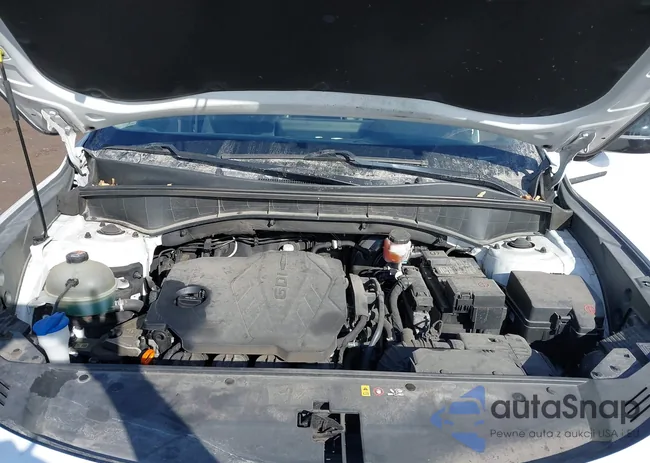 5XYRLDLCXMG004052: 44373554