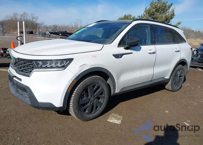 5XYRLDLCXMG004052: 44373554