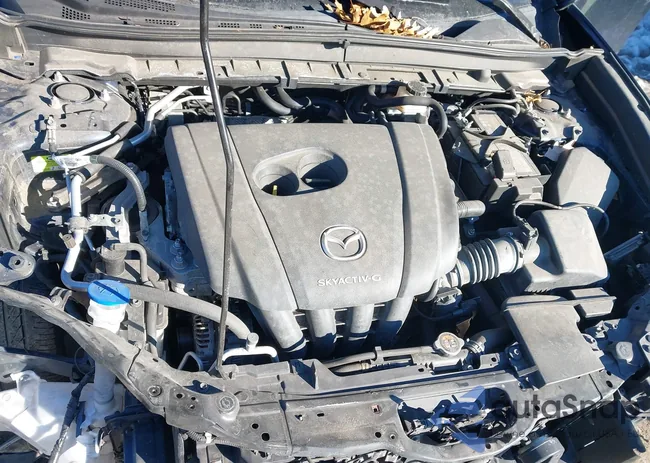 3MVDMBCLXMM205396: 44373863