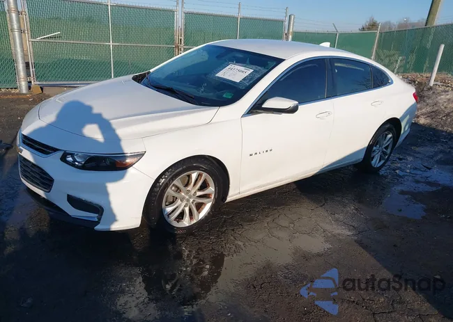 1G1ZD5ST8JF123312: 44375085