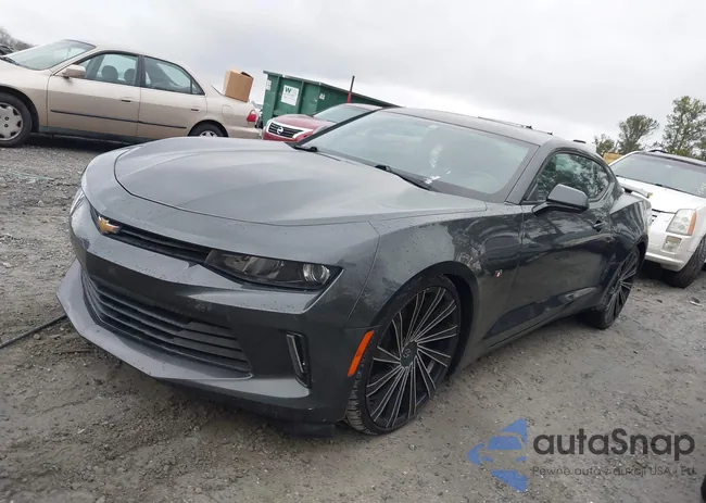 1G1FB1RXXG0161081: 44375820