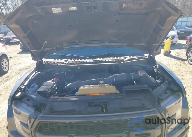 1FTFW1RG9HFC41790: 44376629