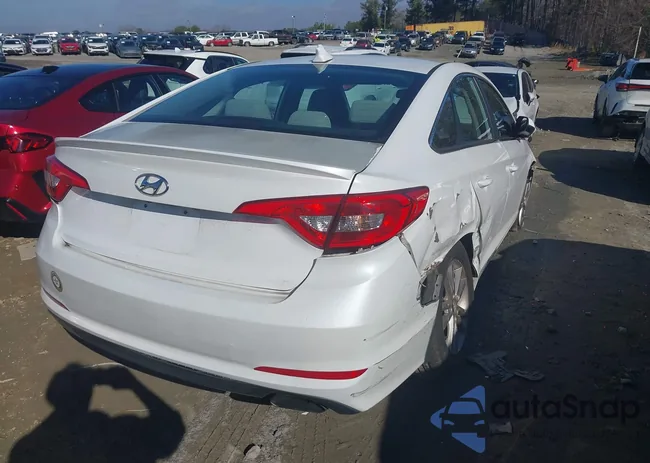 5NPE24AF9HH552931: 44377700