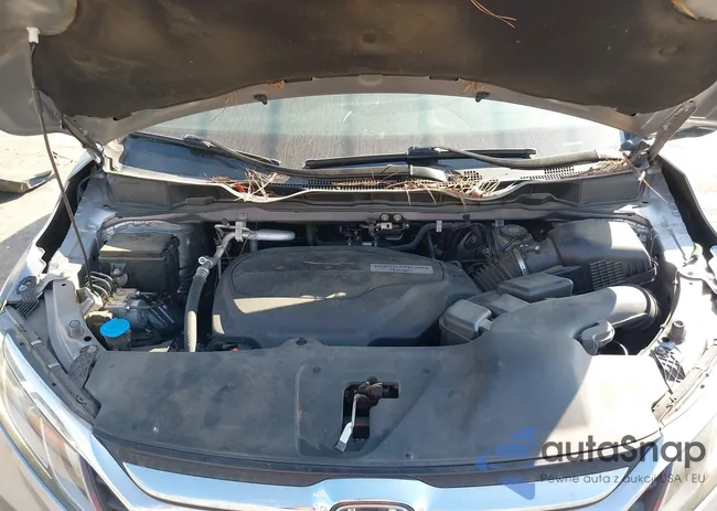 5FNRL6H70JB066800: 44377814