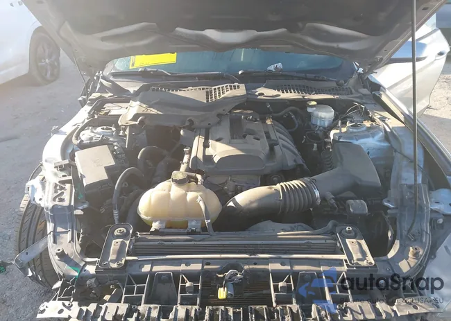 1FA6P8TH1L5134809: 44379186