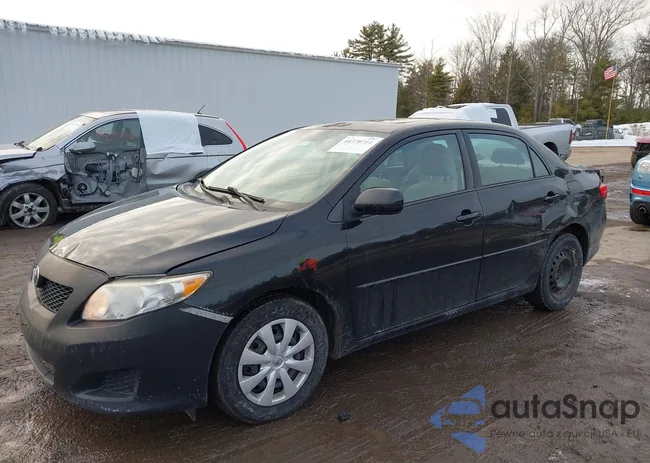 2T1BU4EE6AC266493: 44378711