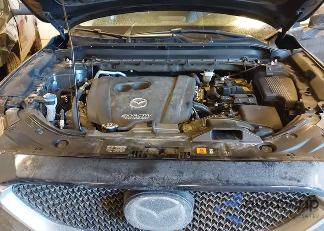 JM3KFBCM8K0622809: 44380719