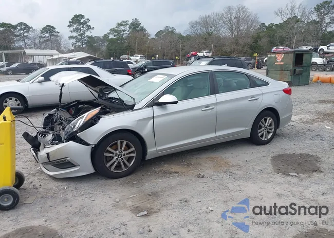 5NPE24AF6FH002440: 44381499