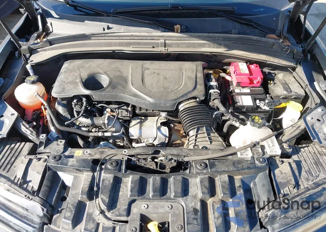 ZACPDFCW6R3A31807: 44381571