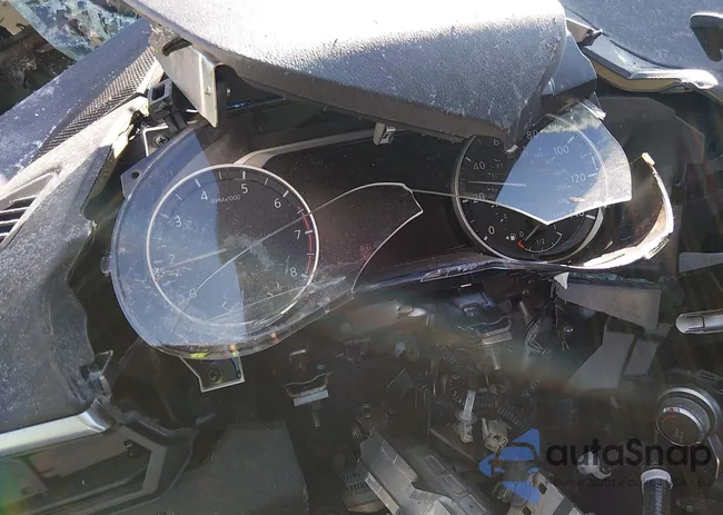 1N4BL4BV7KC137220: 44381581