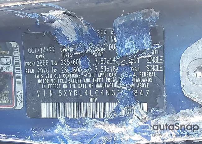 5XYRL4LC4NG160847: 44381851