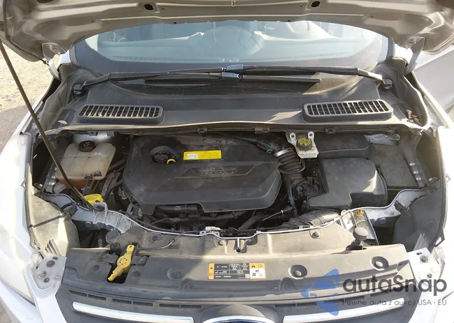 1FMCU9GX0GUA85445: 44383091