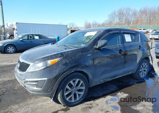 KNDPBCAC8G7875962: 44383290