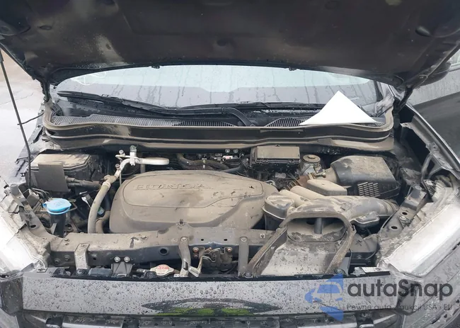 5FPYK3F12RB019542: 44384150