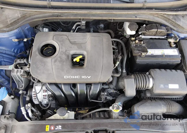 5NPD84LF4JH381986: 44384435