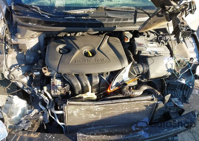 KMHDH4AEXBU080619: 44383552