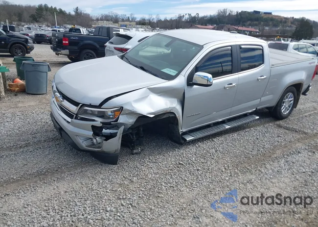 1GCGTCENXJ1299231: 44383589