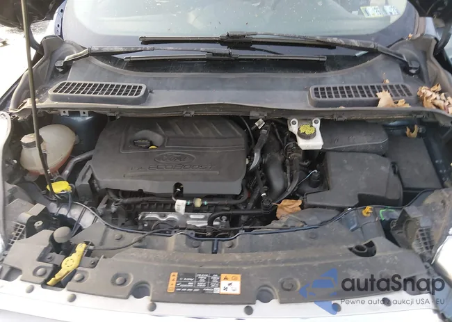 1FMCU9GD9JUB19427: 44383613