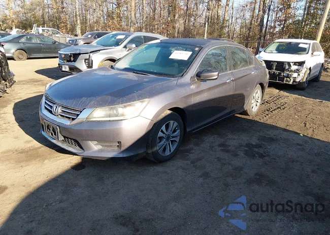 1HGCR2F30DA229036: 44383746