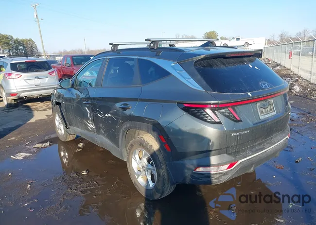 5NMJBCAE3PH219796: 44383868