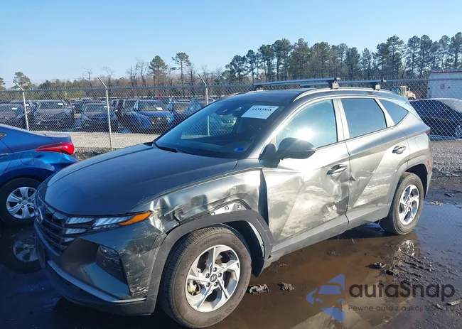 5NMJBCAE3PH219796: 44383868