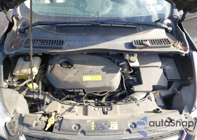 1FMCU9HX6DUC66575: 44384930