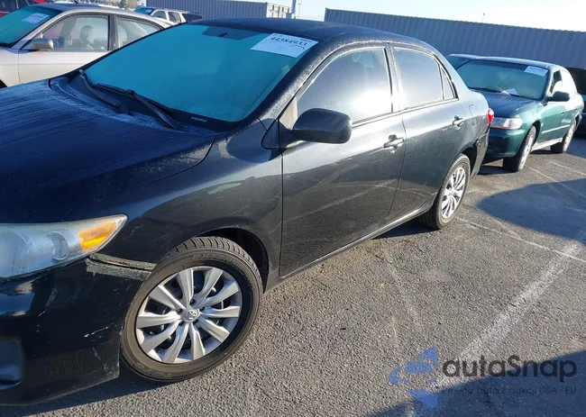 5YFBU4EE1DP153202: 44384933