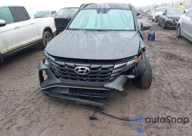 KM8JBCA16PU106149: 44385215