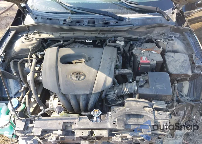 3MYDLBYVXHY177923: 44385411