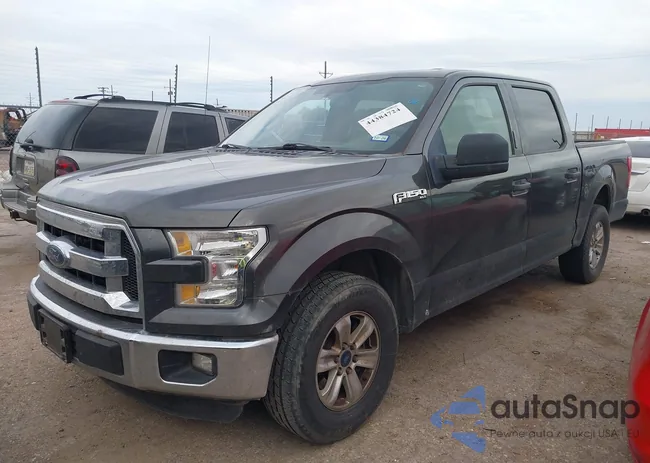 1FTEW1CF5FFA89922: 44384724