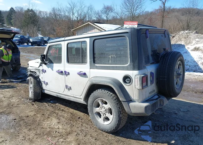 1C4HJXDN5MW657460: 44384889