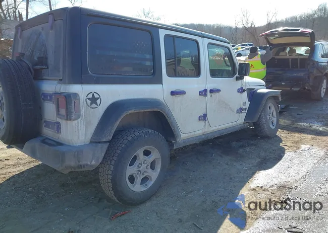 1C4HJXDN5MW657460: 44384889