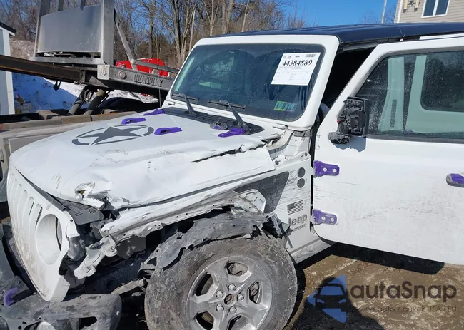 1C4HJXDN5MW657460: 44384889